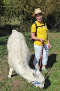 Lama Spaziergang 6