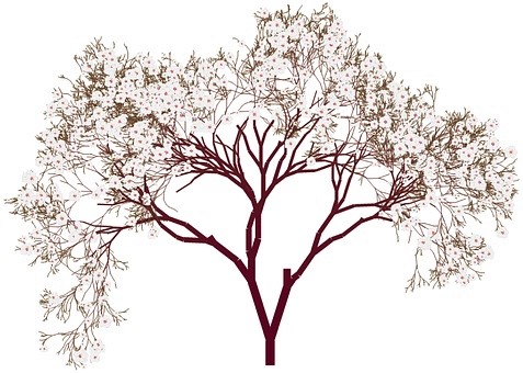Baum braun zart bearb. pixa